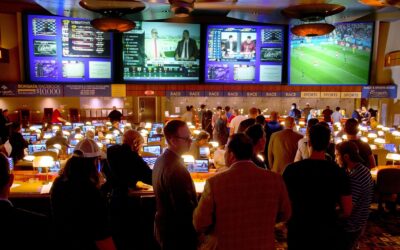 NEW JERSEY BECAME IN AUGUST  SPORTS BETTING CAPITAL OF USA